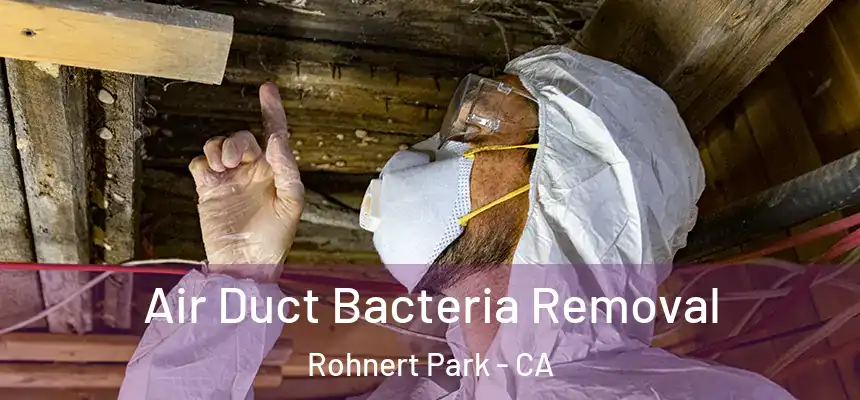  Air Duct Bacteria Removal Rohnert Park - CA