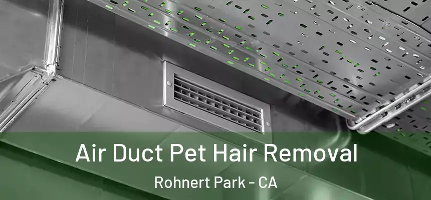  Air Duct Pet Hair Removal Rohnert Park - CA