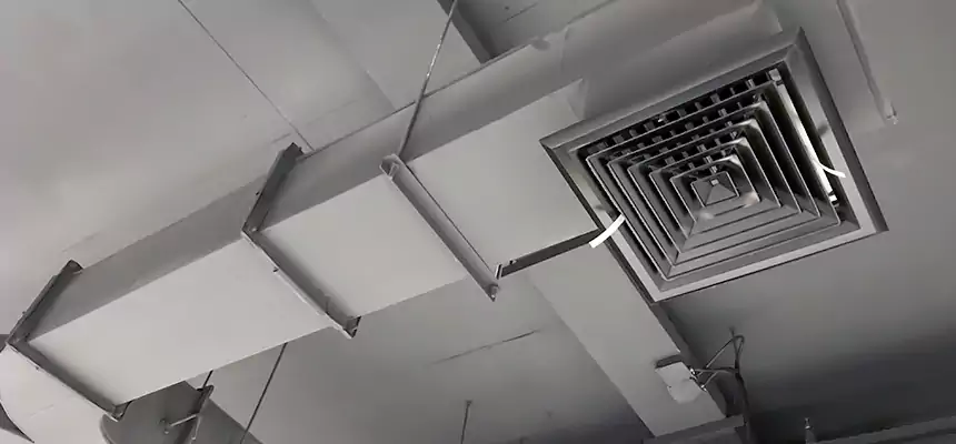 Restorative Allergy Relief Vent Cleaning – Coil, Blower & Housing Detail in Rohnert Park