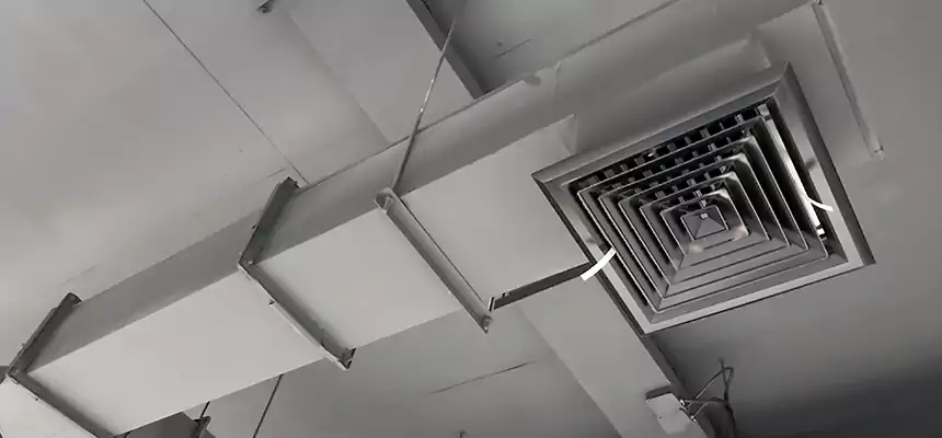 Our Rodent Droppings In Vents Services in Rohnert Park, CA