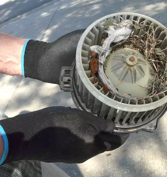 About Air Duct Mice Removal in Rohnert Park, CA