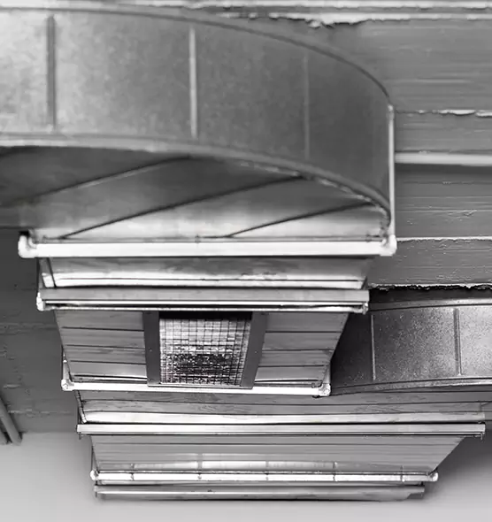 Professional Air Duct Pet Hair Removal in Rohnert Park, CA