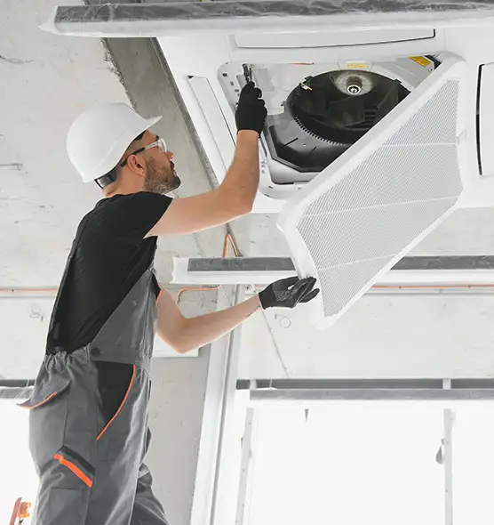 About Air Duct Rodent Removal in Rohnert Park, CA