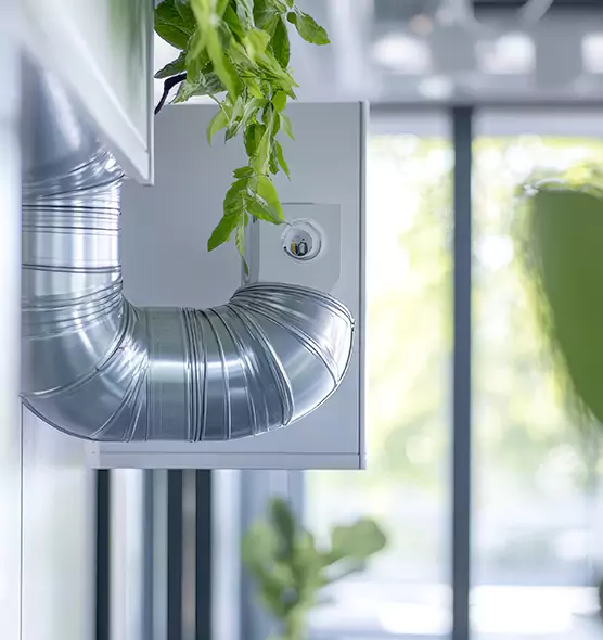 Professional Eco-Safe Dryer Vent Cleaning in Rohnert Park, CA