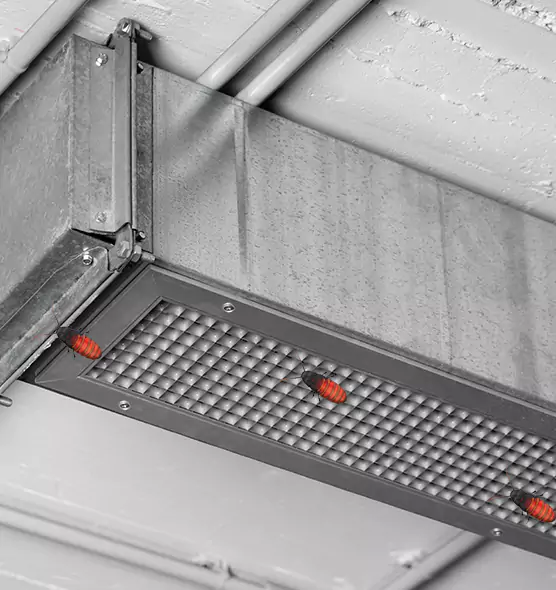 Affordable Insect Removal from Air Ducts in Rohnert Park, CA