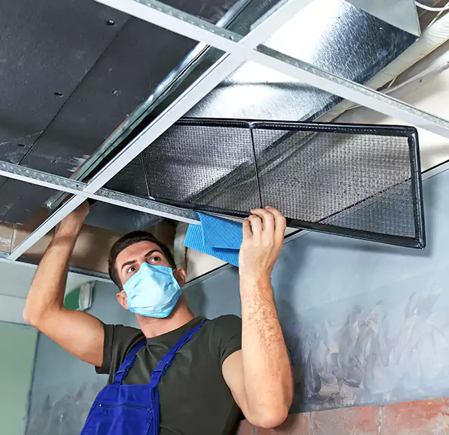 Why Homeowners Businesses Trust Us in Rohnert Park, CA